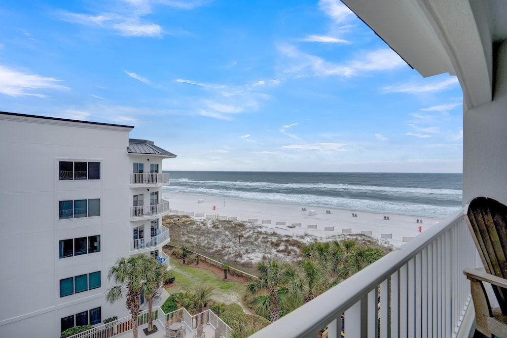 Palm Beach D52