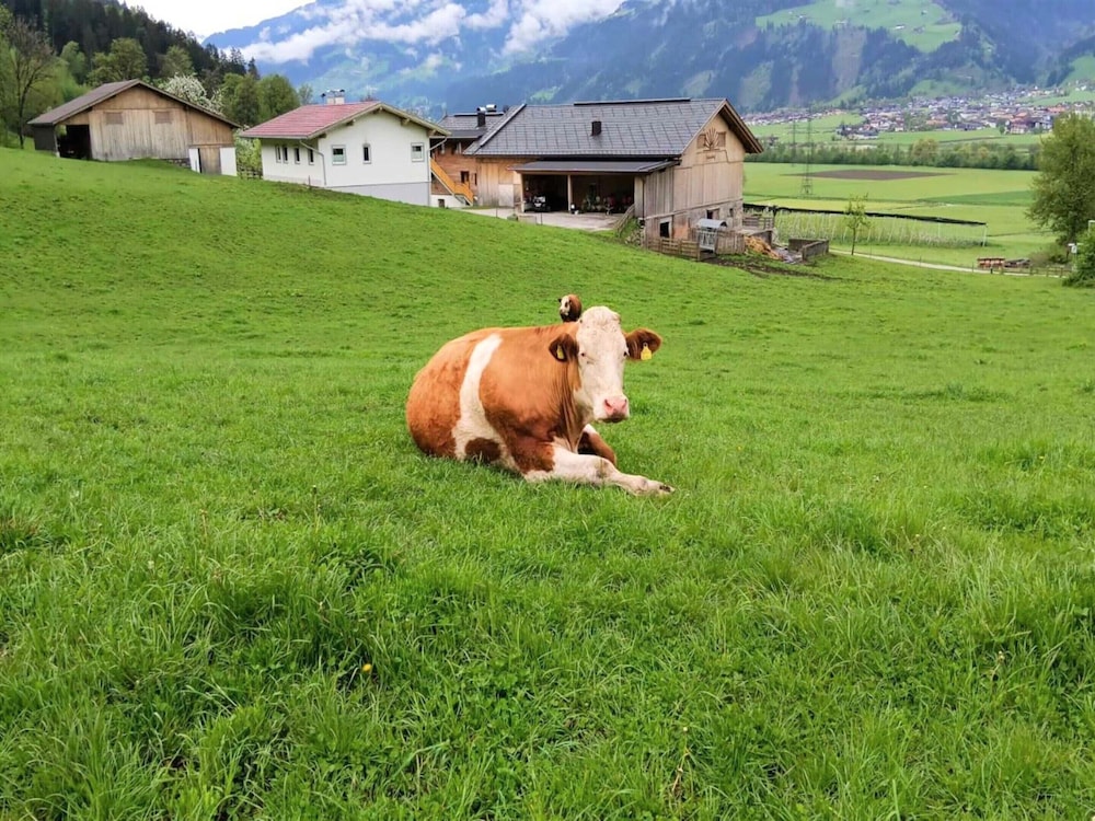 Apartment in Zillertal Near Spieljochbahn