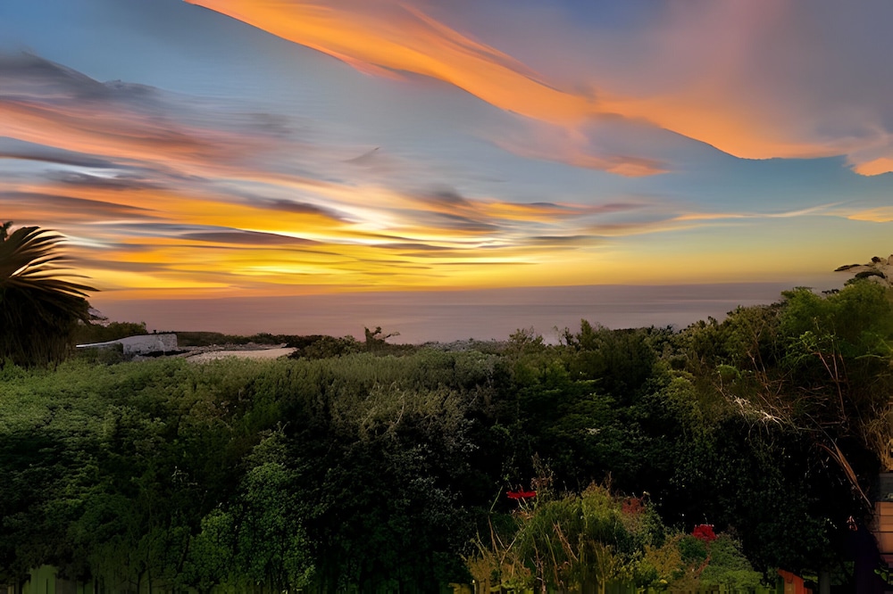 Cape Rose Cottage
