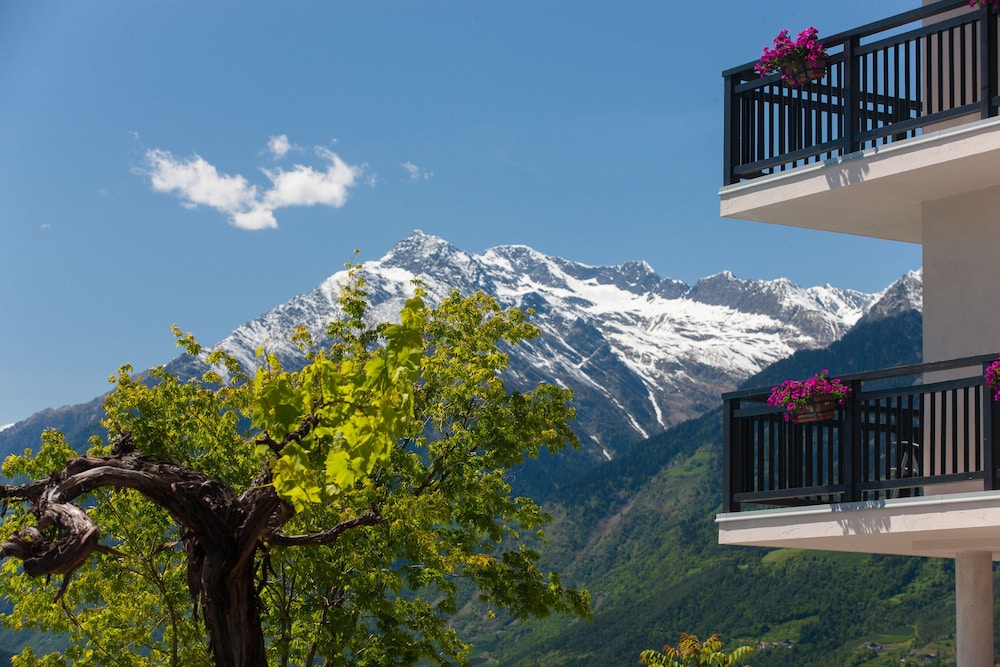 Hotel Der Weinmesser