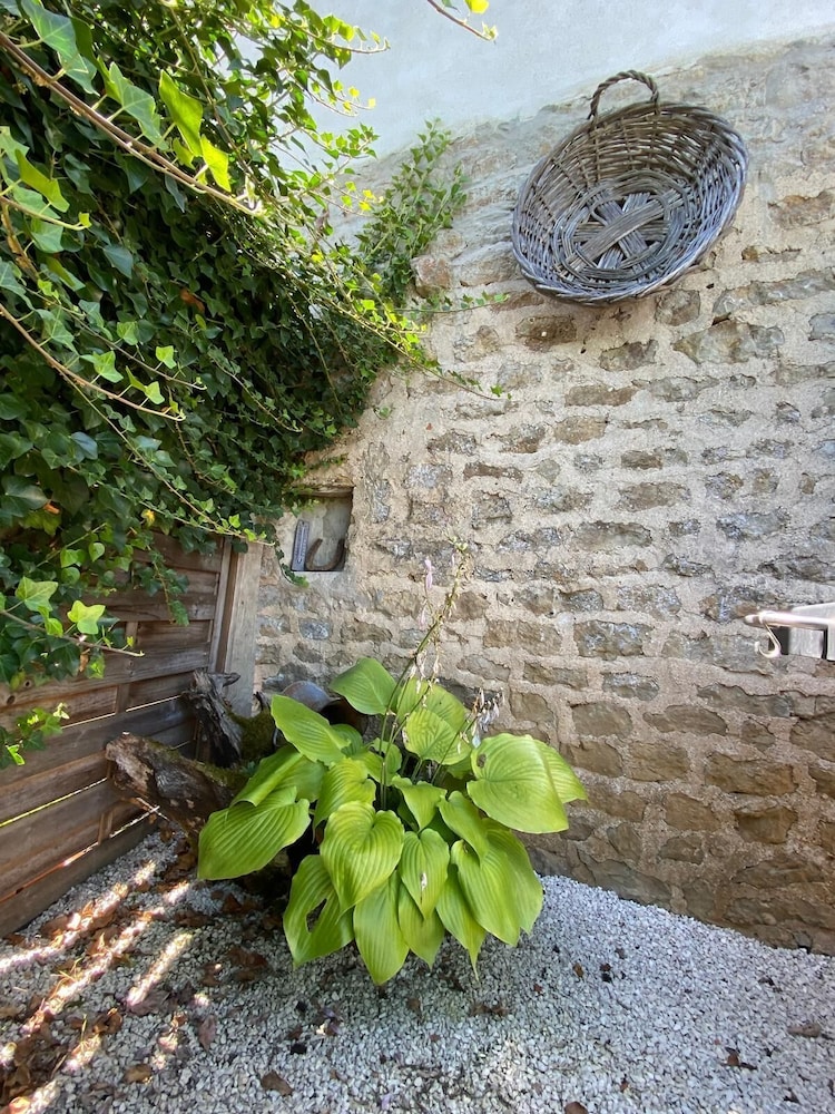 Photo 49