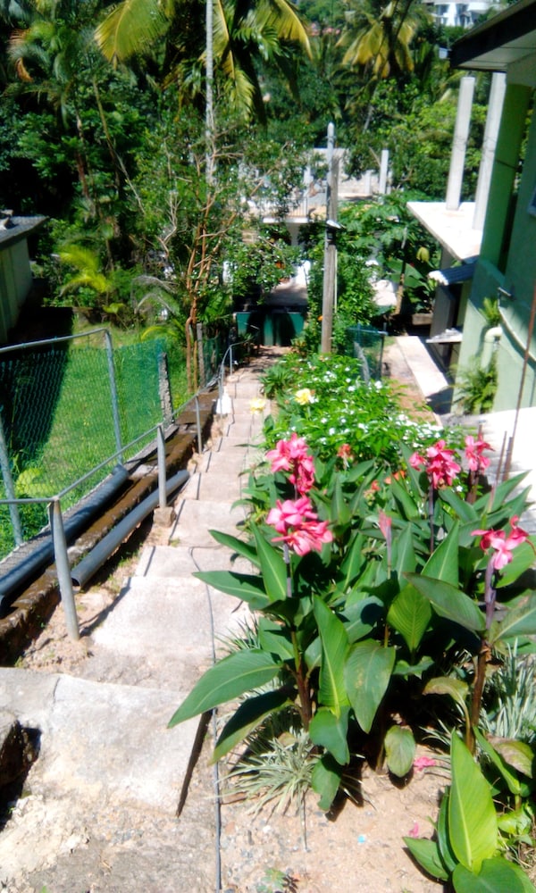 Miracle Villa