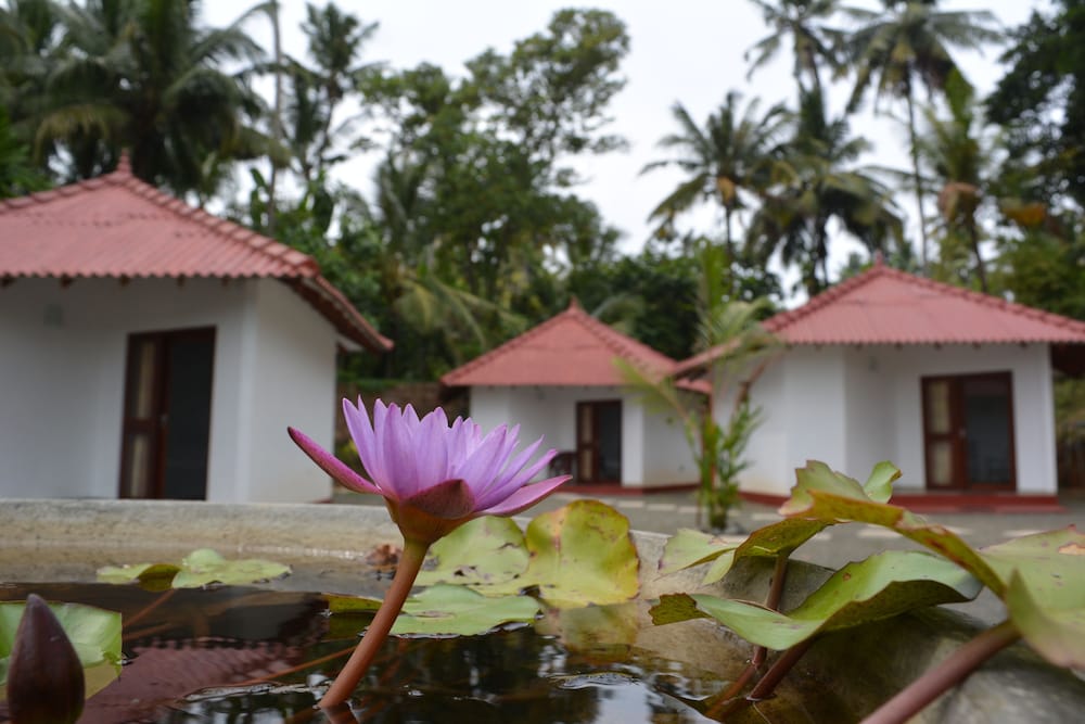 Lagoon Resort Goviyapana