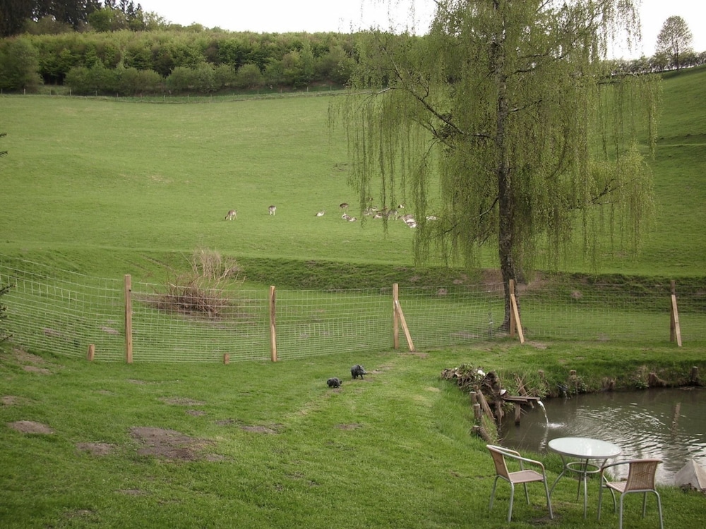 Photo 12