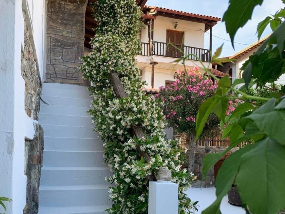 Photo 31
