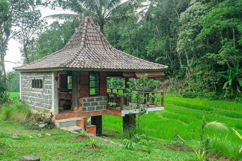 Tepi Sawah Lodge