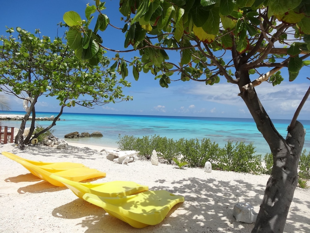 Rangiroa Tiputa Lodge B&B