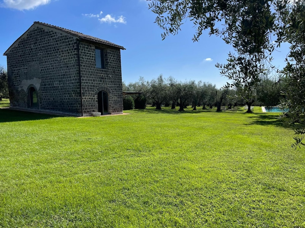 New Estate of Joy a Magnificent Historic Villa Near Rome on Glorious Ground Pool and Olives Galore