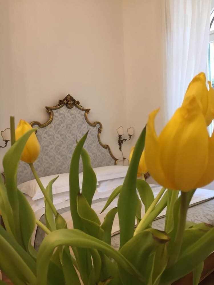 La Belle Coquette B&B photo 5