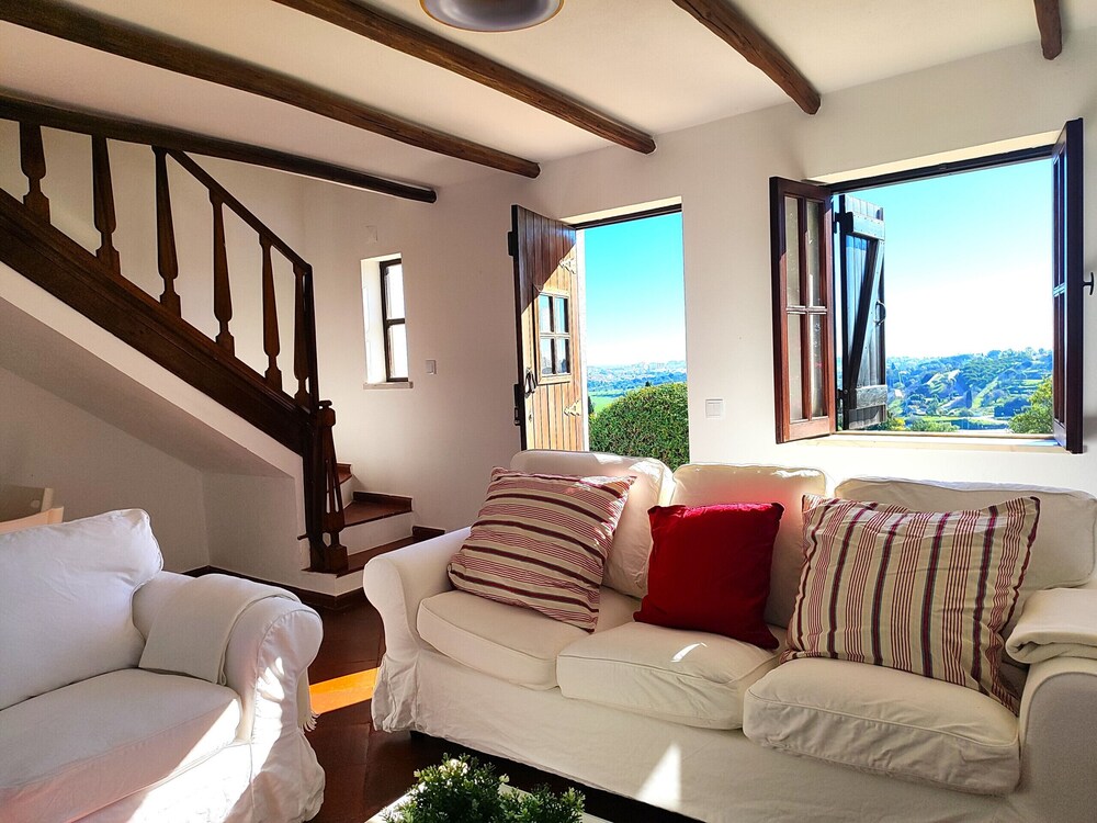 Lagos High Point Nature 1 by Homing