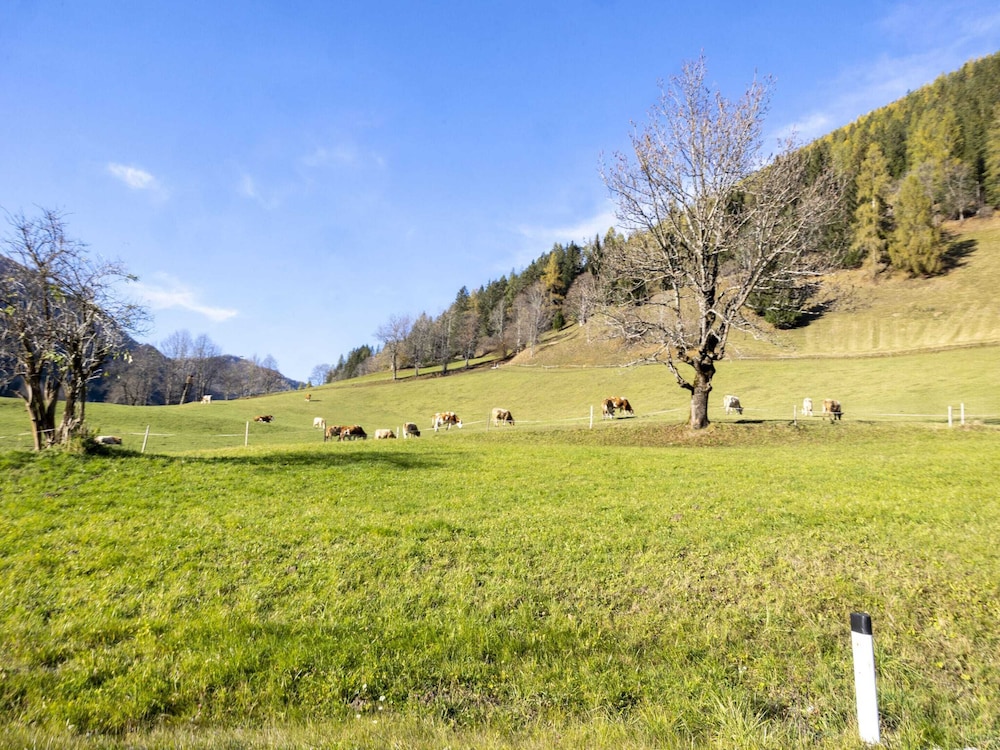 Apartment in Bad Kleinkirchheim Near Ski Lift