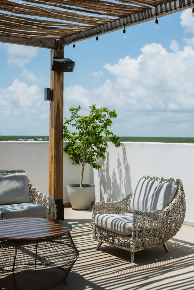 roof
