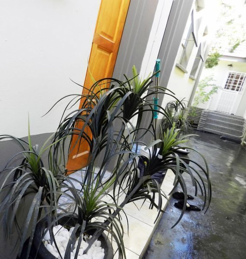Blackwood Guest House