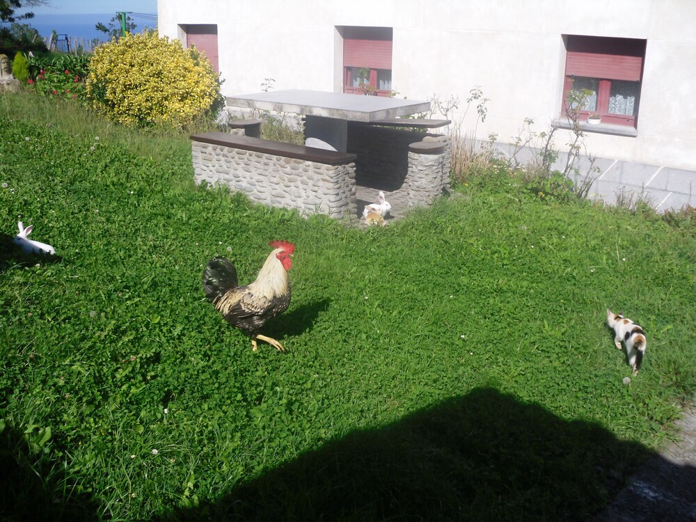 Agroturismo Donibane
