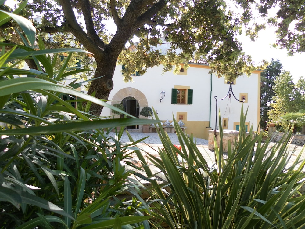 Pollensa Vacations - Hotel Llenaire - Property Image 38