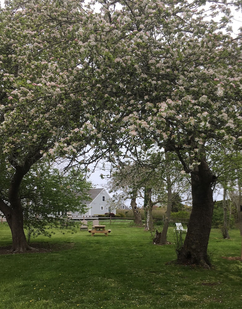 Nauset House Inn