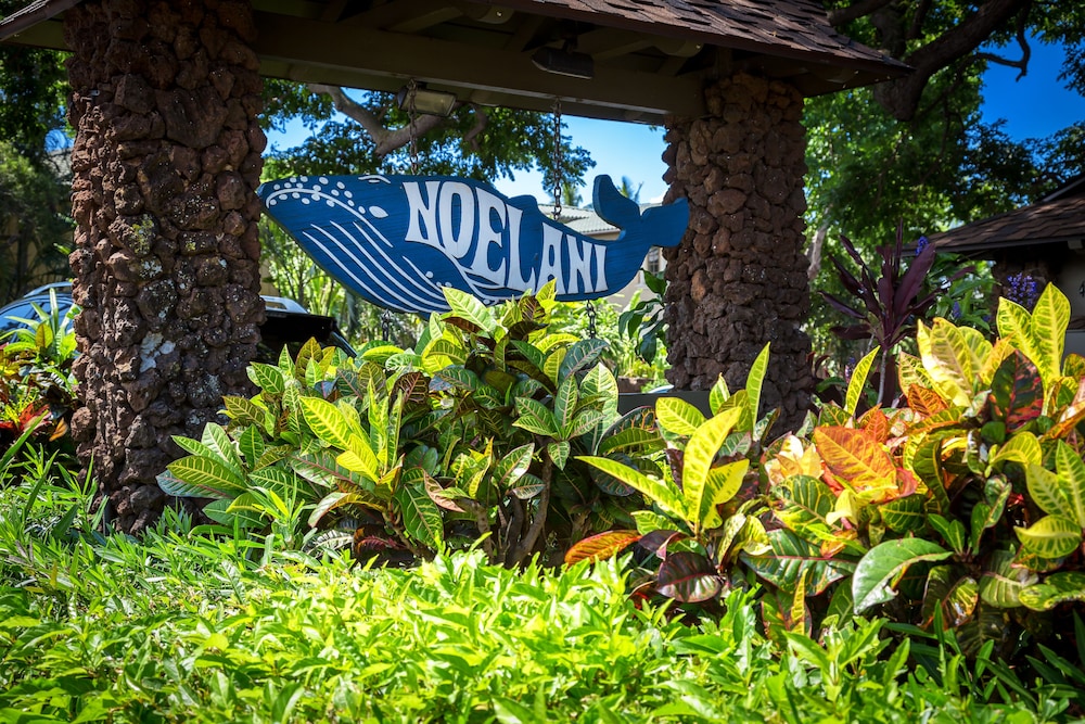 Noelani 304 - 3Br Condo