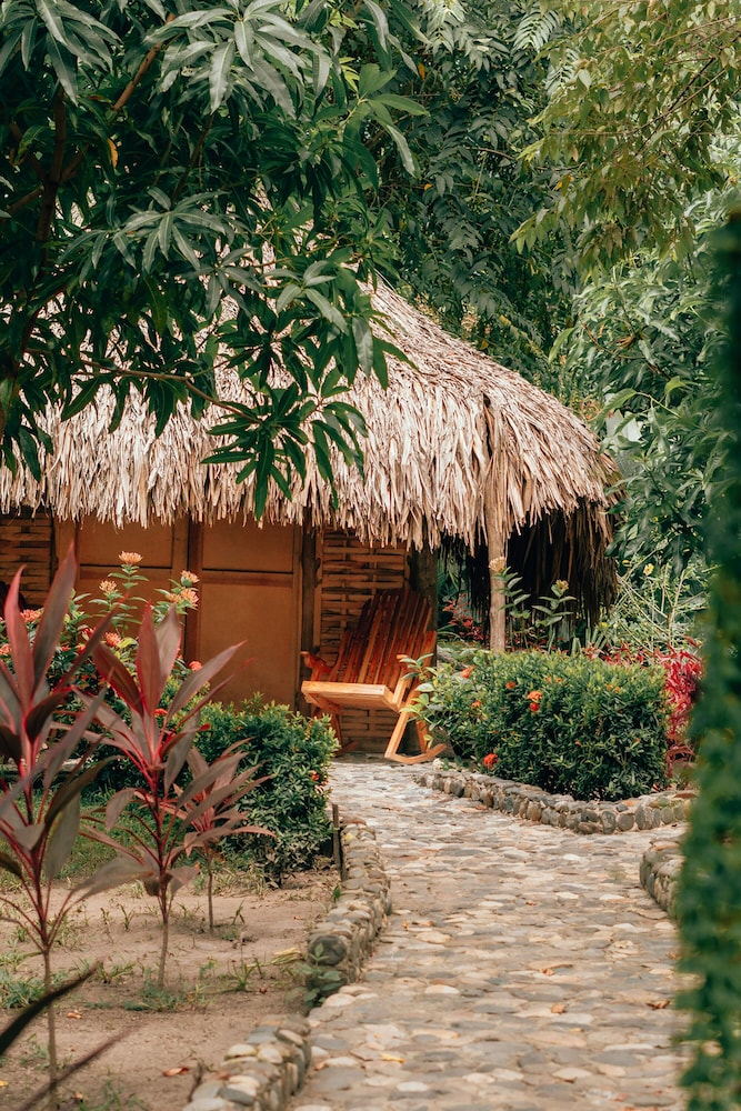 Magic Greeen Tayrona