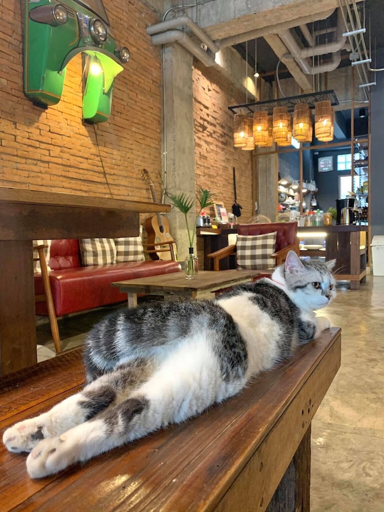 Suneta Hostel Chiang Mai