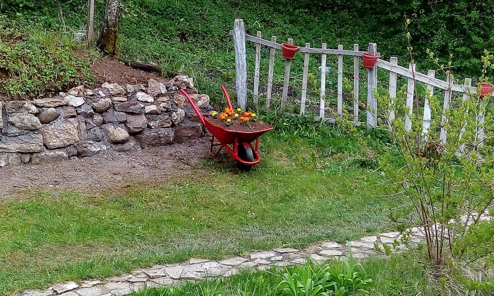 Photo 21
