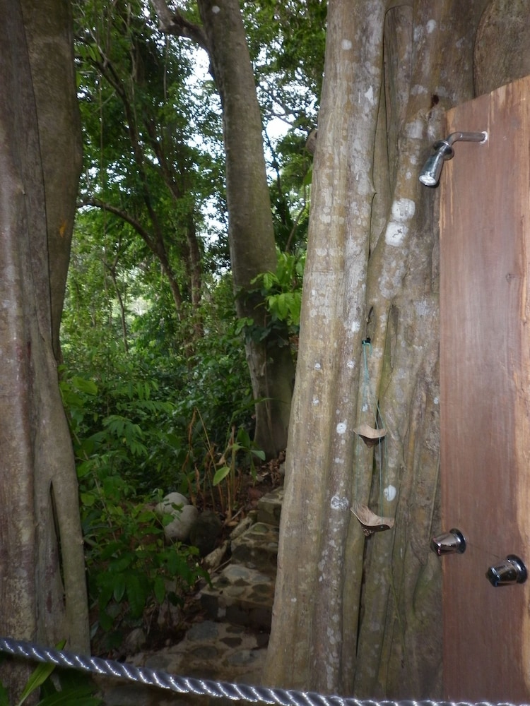 Citrus Creek Plantation - Photo 38