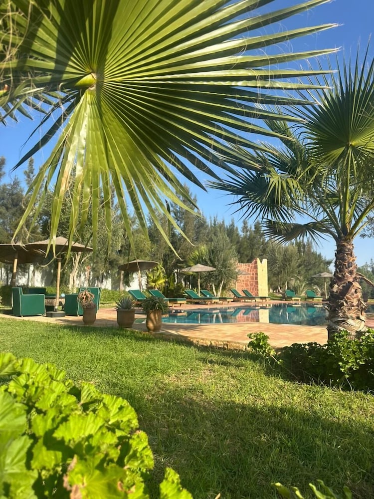 Dar mimosa