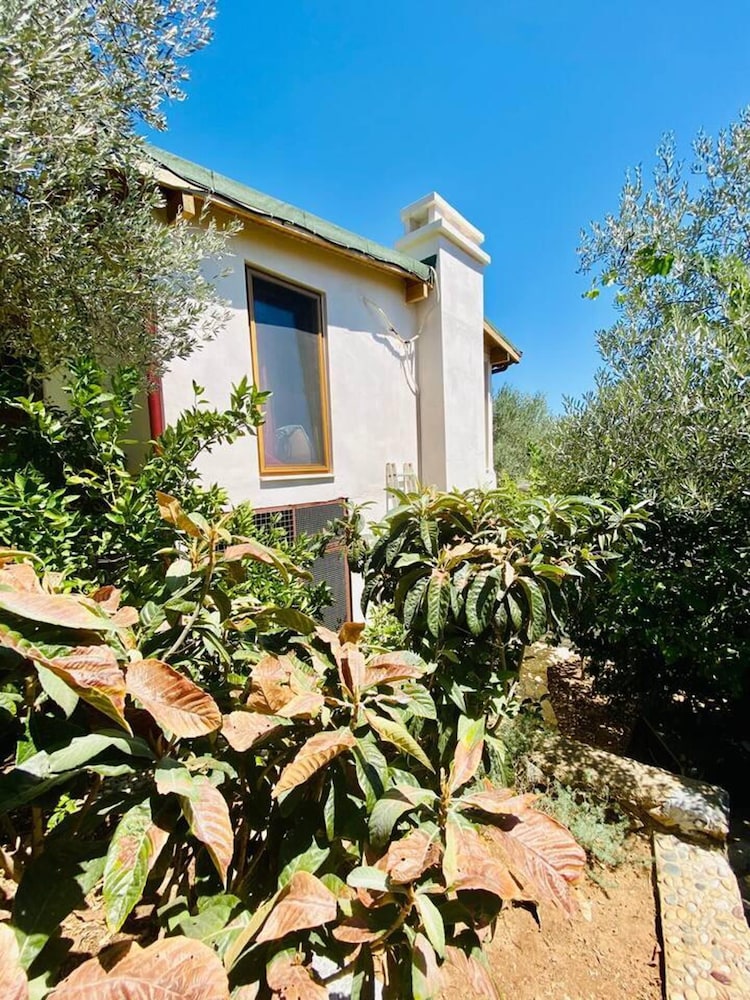 Artistic Villa With Private Pool, Bodrum, Turkey view 4