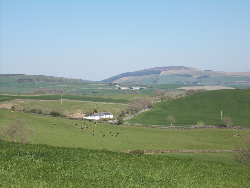 Bluebell Bank