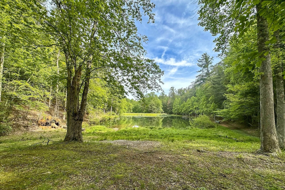Ellijay Cabin 7 Mi to Dtwn: Hot Tub & Mtn Views