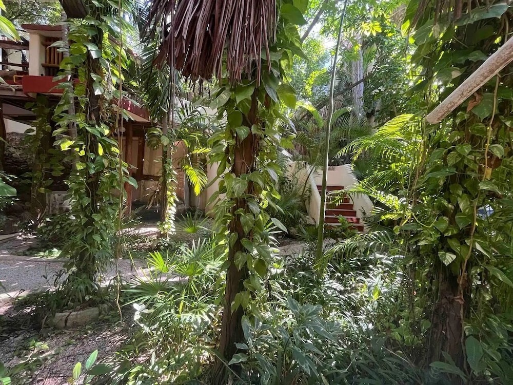 Photo 22
