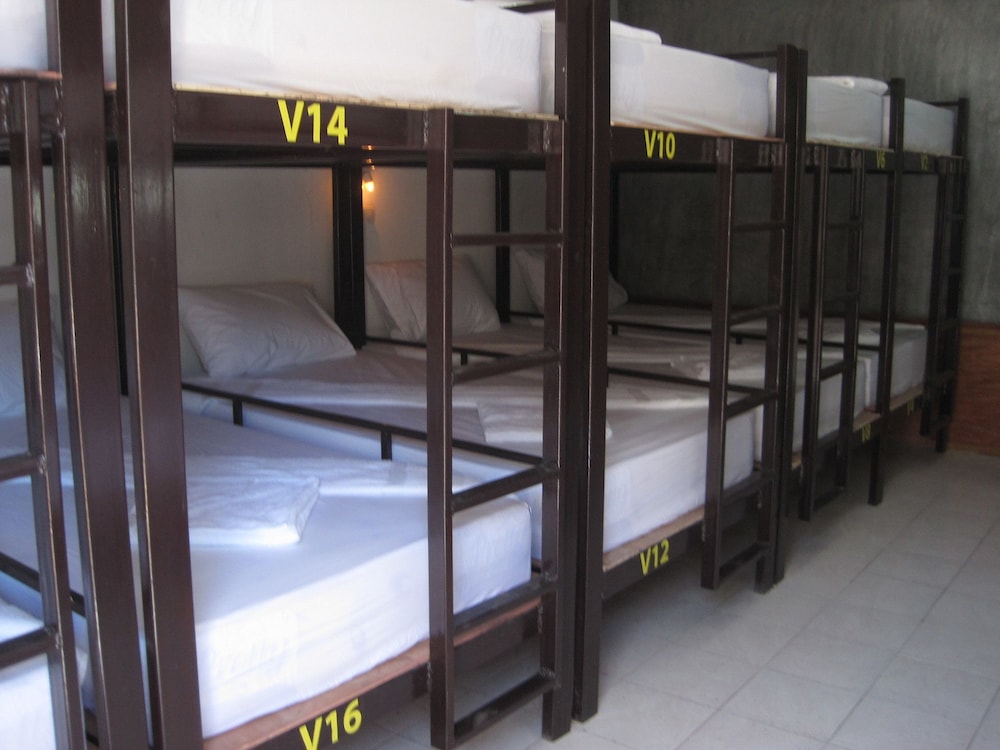 Mickey Hostel