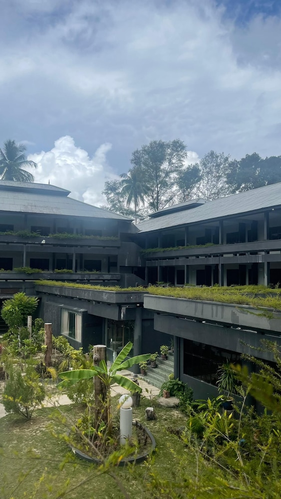Arwana Perhentian Bluestar