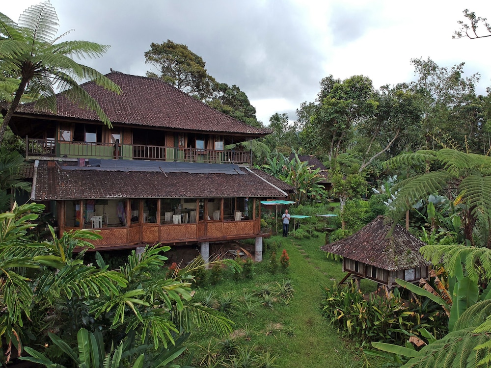Bali Mountain Retreat