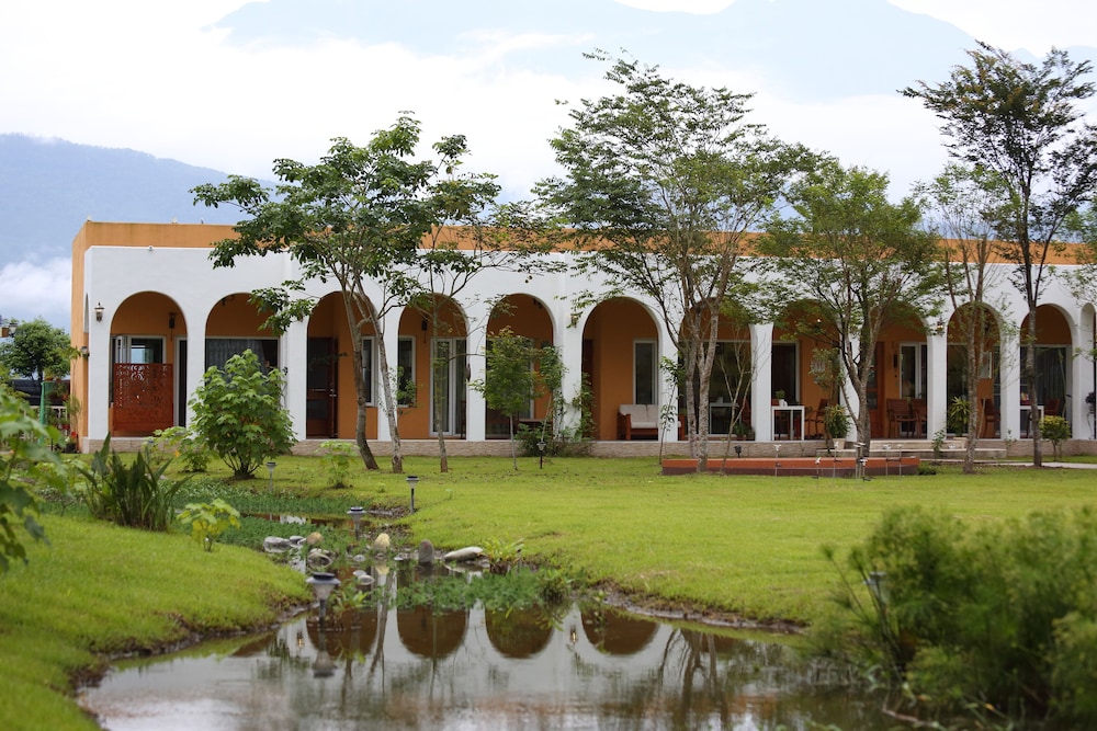 Focacia BNB