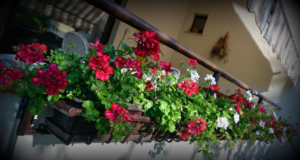 B&B La Betulla