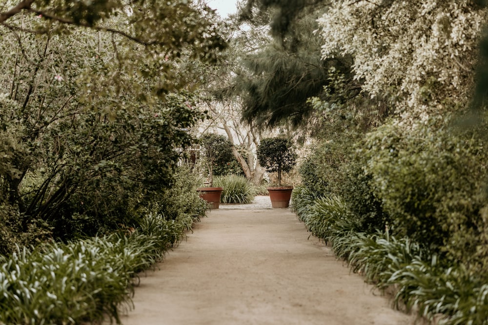 Blue Gum Country Estate