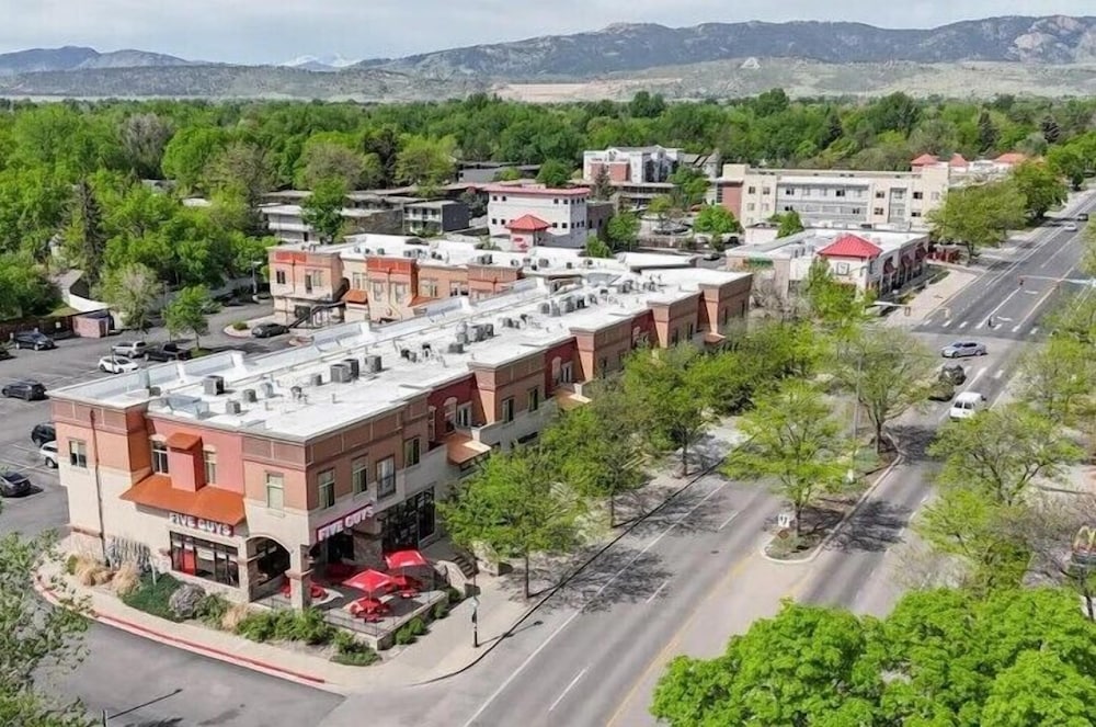 Campus West Nest - King Bed + Walk to CSU