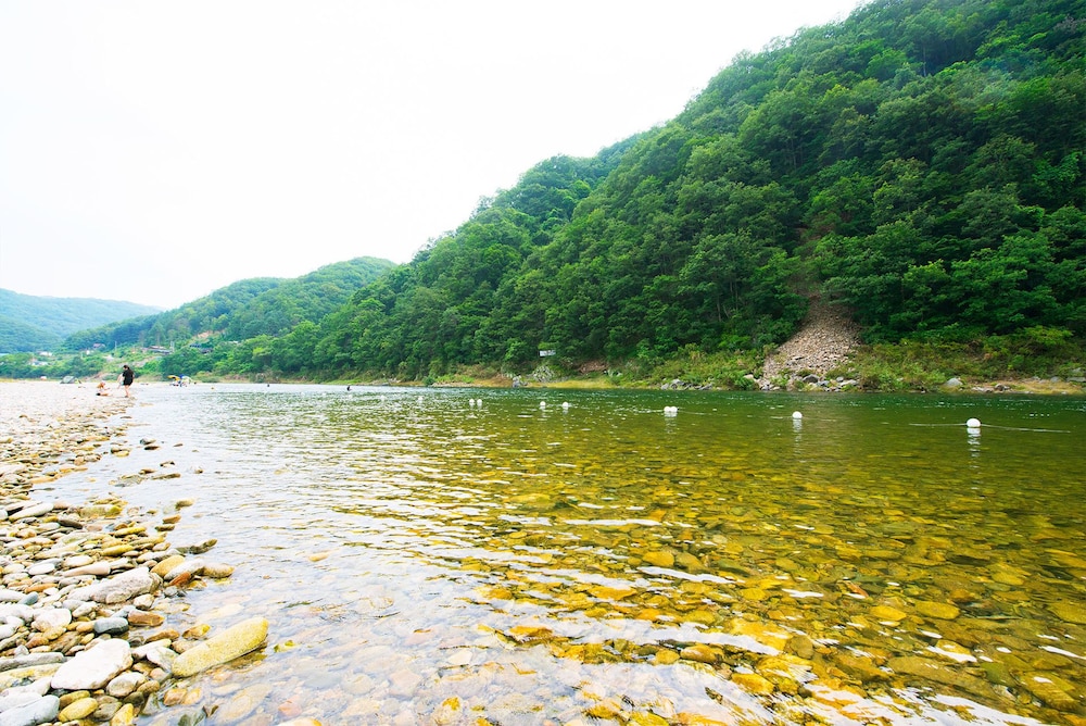 Skylake Pension