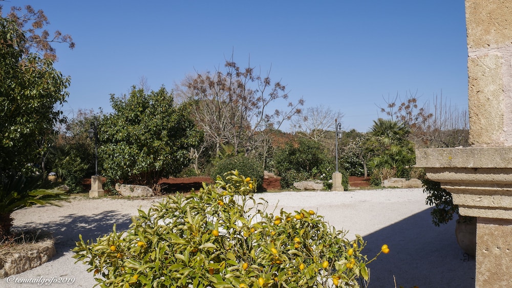 Tenuta il Grifo view 2