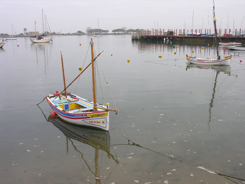 The Boat