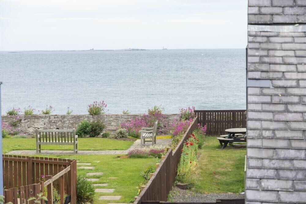 Puffin View