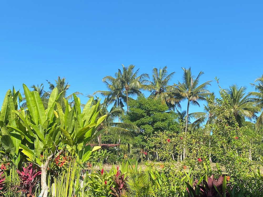 Villa Hummingbird Ubud