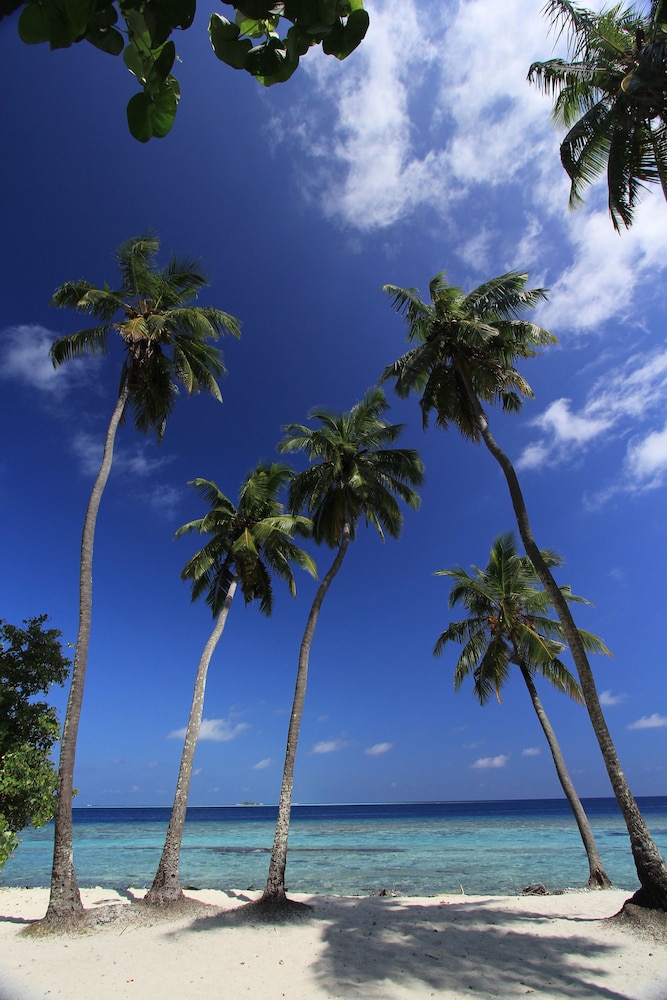 Local Island Inn