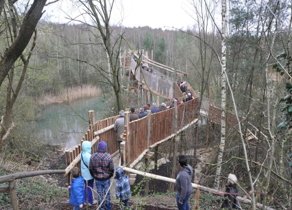 Zutendaal Forest Retreat