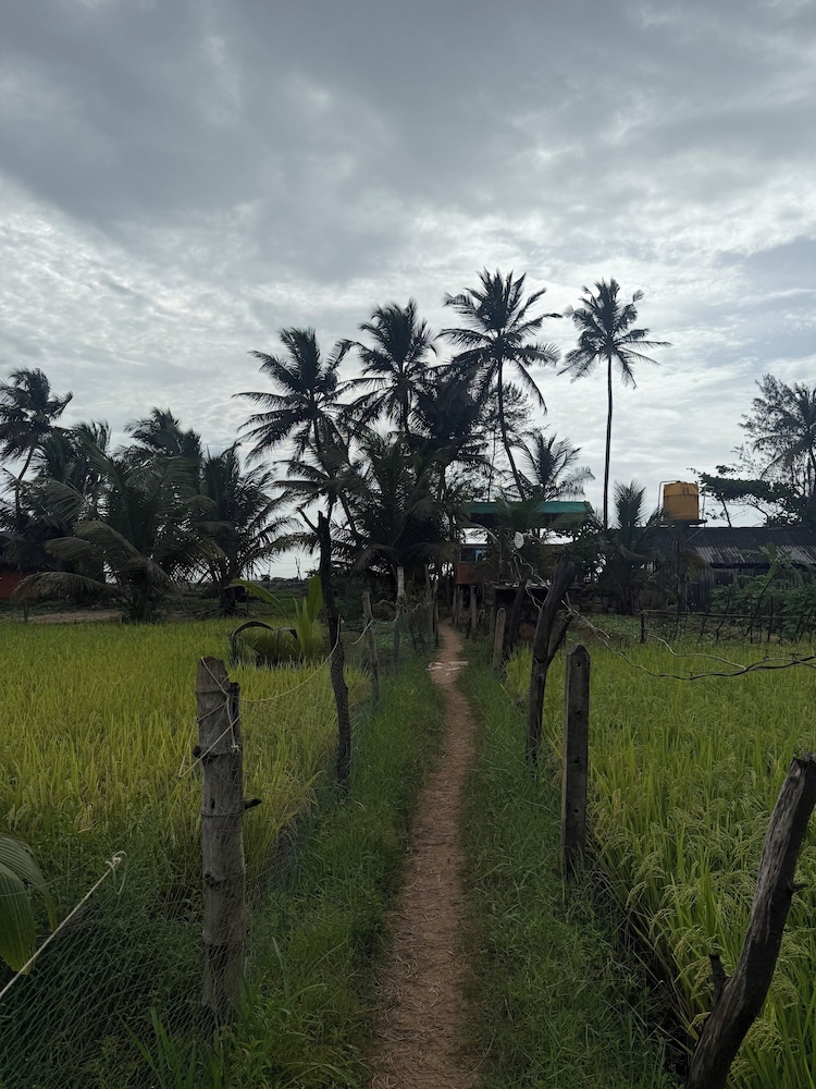 Omisha Beach Stay