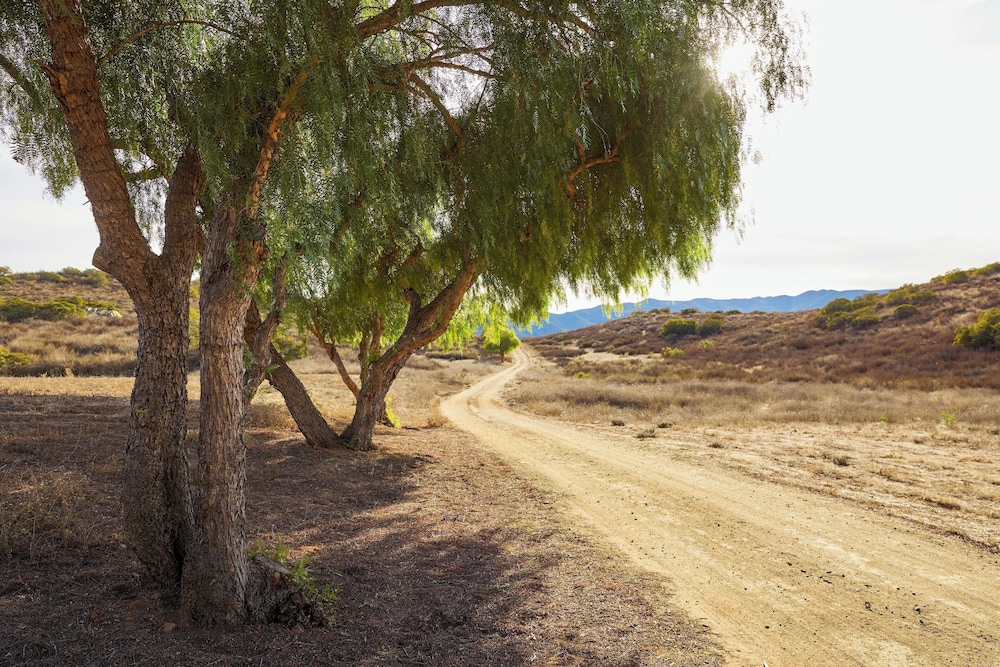 320 Acres: Farmhouse in East County San Diego