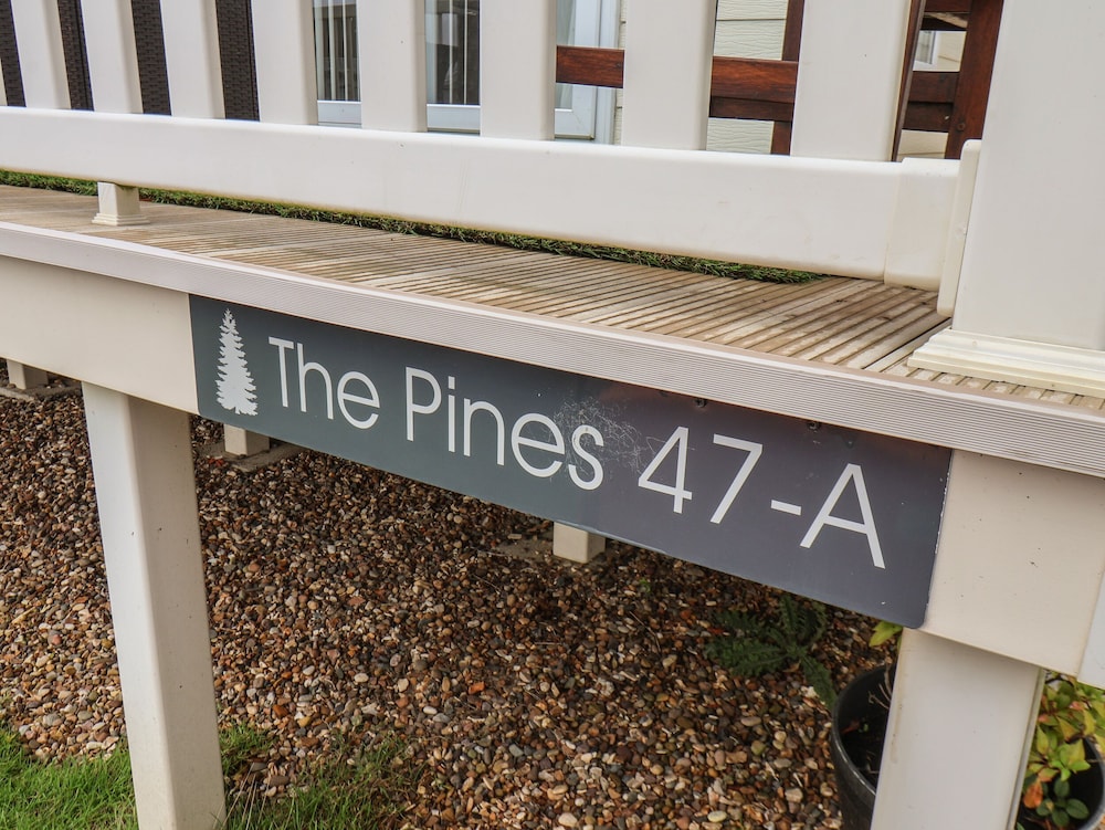 Evergreen Pines