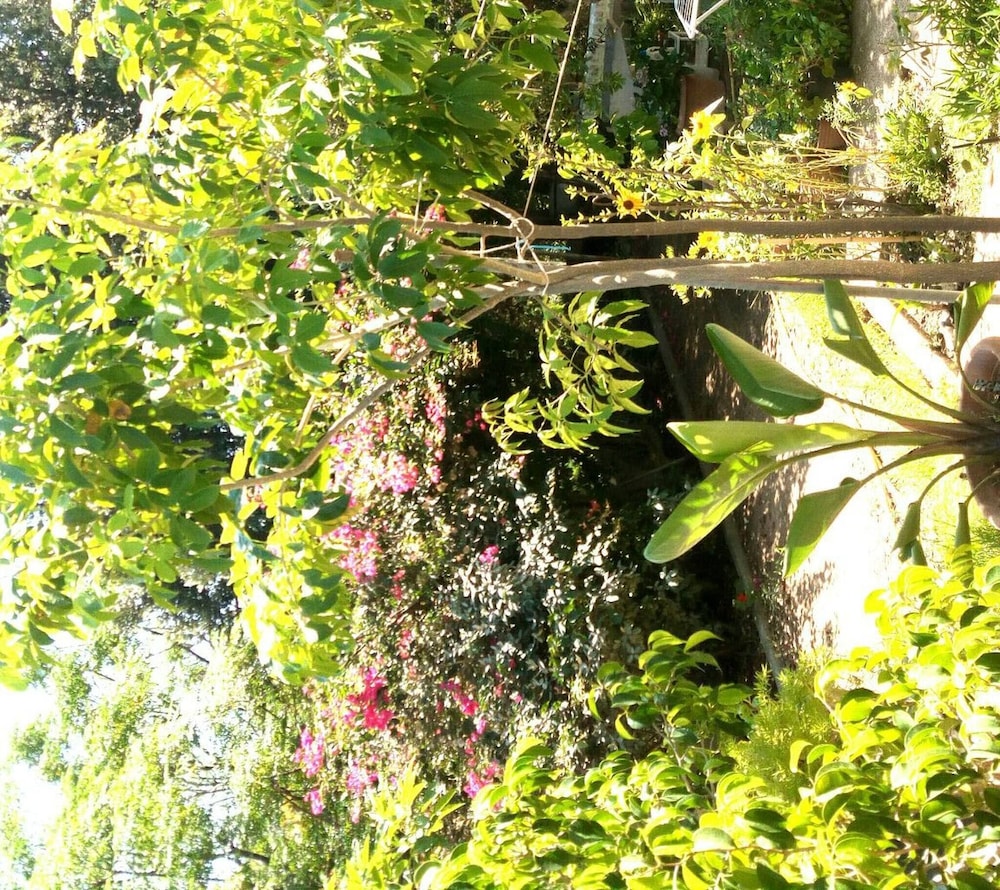 Photo 28