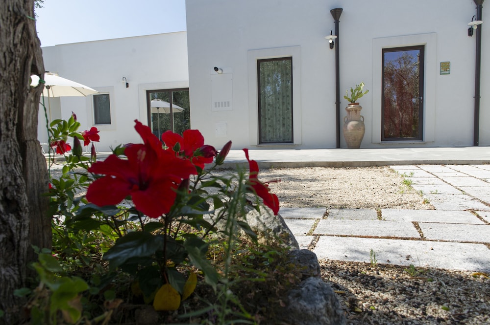 Tenuta Santa Maria