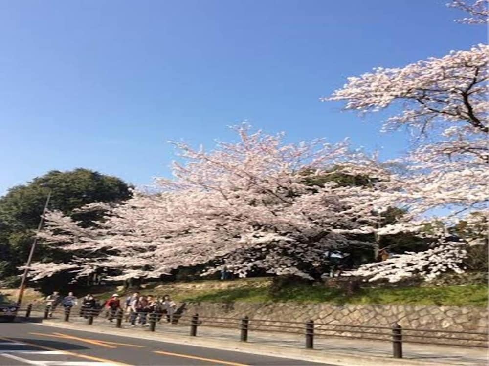 Kyoto Higashiyama hale Temari